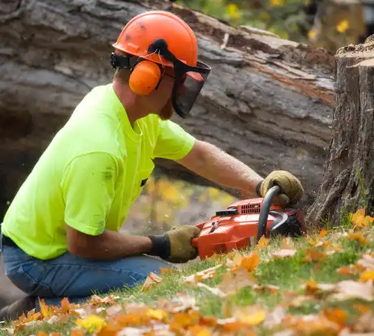 tree services North Bellport